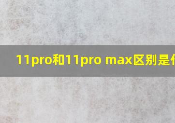 11pro和11pro max区别是什么?
