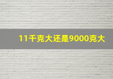 11千克大还是9000克大