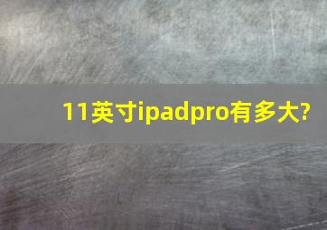 11英寸ipadpro有多大?