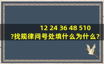 12 24 36 48 510 ?找规律,问号处填什么,为什么?