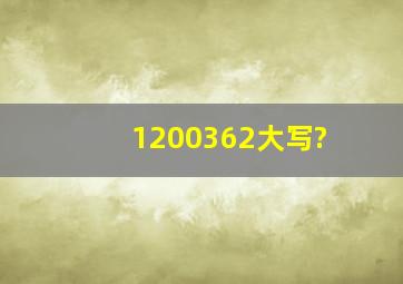 1200362大写?