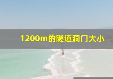 1200m的隧道洞门大小