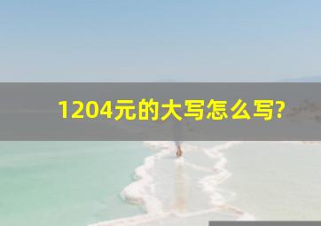 1204元的大写怎么写?