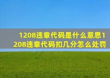 1208违章代码是什么意思,1208违章代码扣几分怎么处罚