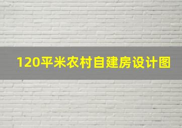 120平米农村自建房设计图