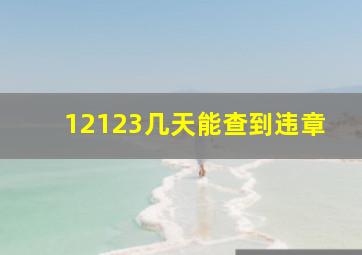 12123几天能查到违章