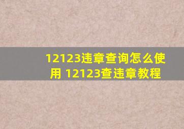 12123违章查询怎么使用 12123查违章教程