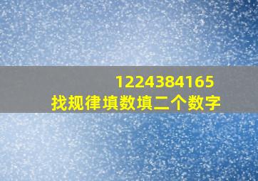 1224384165找规律填数填二个数字