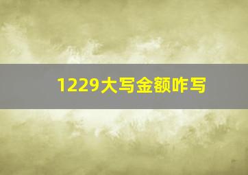 1229大写金额咋写