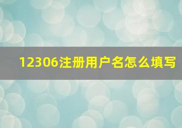 12306注册用户名怎么填写