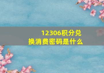 12306积分兑换消费密码是什么