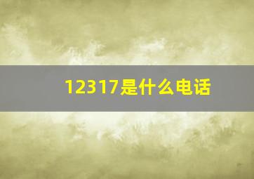 12317是什么电话