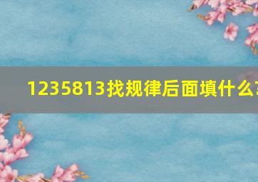 1235813找规律后面填什么?