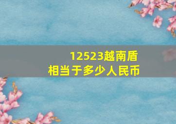 12523越南盾相当于多少人民币