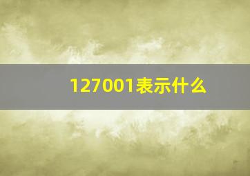 127001表示什么