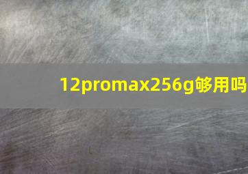 12promax256g够用吗