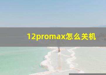 12promax怎么关机