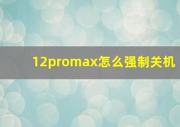 12promax怎么强制关机