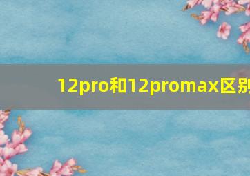 12pro和12promax区别