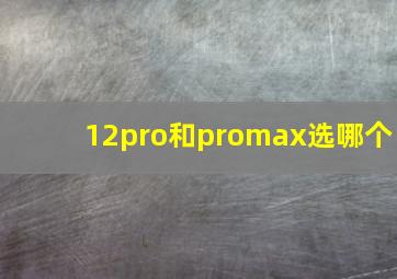 12pro和promax选哪个