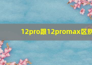 12pro跟12promax区别