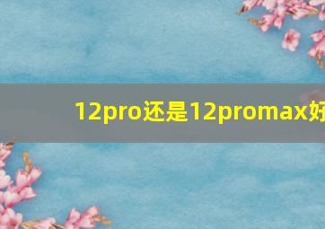 12pro还是12promax好