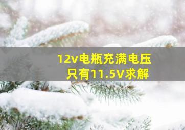 12v电瓶充满电压只有11.5V求解