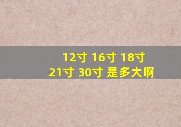 12寸 16寸 18寸 21寸 30寸 是多大啊