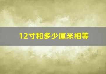 12寸和多少厘米相等