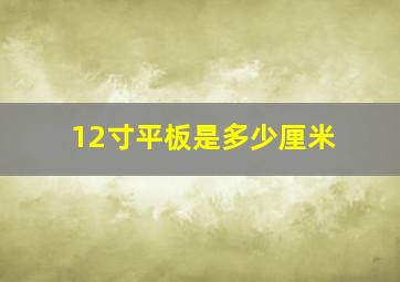 12寸平板是多少厘米