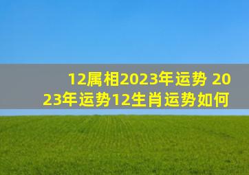 12属相2023年运势 2023年运势12生肖运势如何 