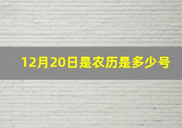 12月20日是农历是多少号