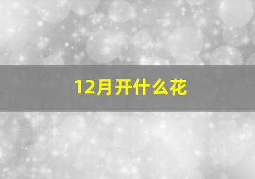 12月开什么花