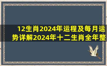 12生肖2024年运程及每月运势详解,2024年十二生肖全年整体运势大全 