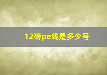 12磅pe线是多少号(