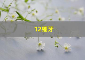 12细牙