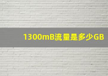 1300mB流量是多少GB