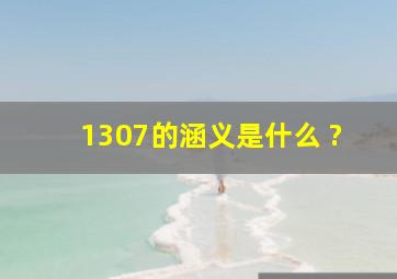 1307的涵义是什么 ?