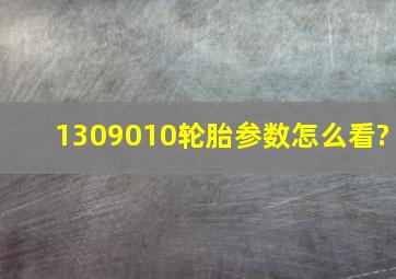 1309010轮胎参数怎么看?