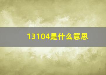 13104是什么意思