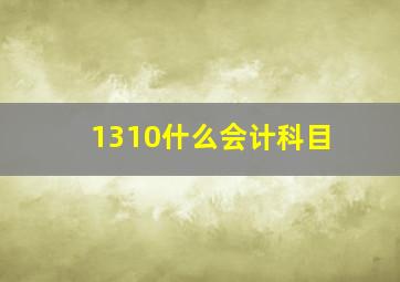 1310什么会计科目