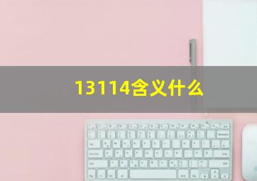 13114含义什么