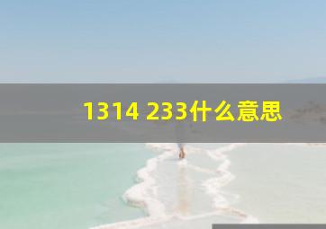 1314 233什么意思