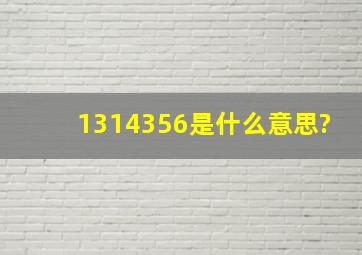 1314356是什么意思?