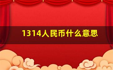 1314人民币什么意思