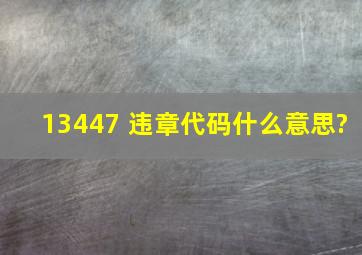 13447 违章代码什么意思?