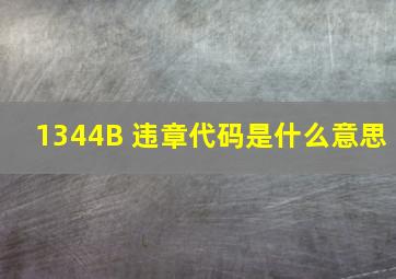 1344B 违章代码是什么意思