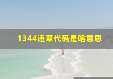 1344违章代码是啥意思((