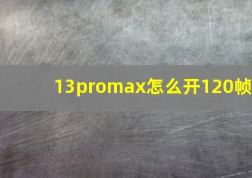 13promax怎么开120帧