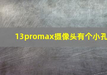 13promax摄像头有个小孔